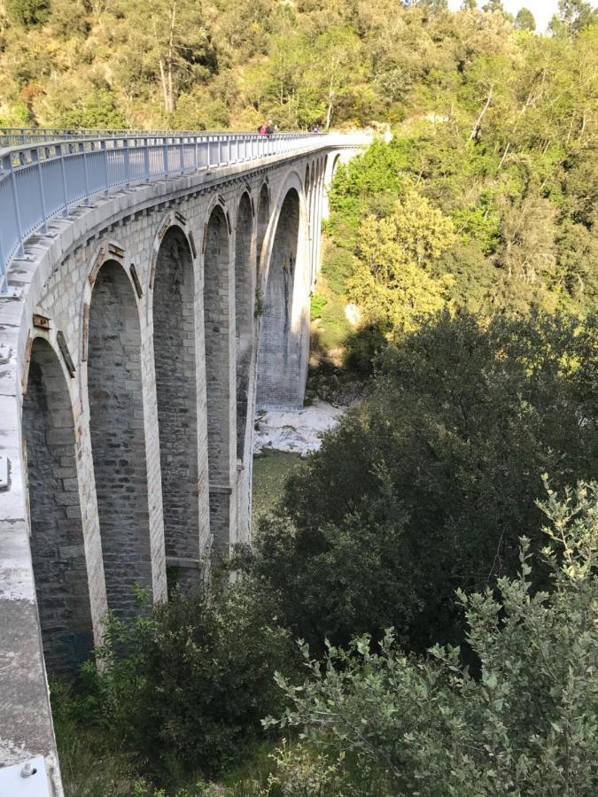 Gite Des 3 Vallees - Le Soleil Des Cevennes Daire Saint-Jean-du-Gard Dış mekan fotoğraf