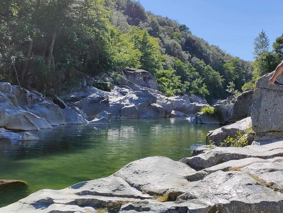 Gite Des 3 Vallees - Le Soleil Des Cevennes Daire Saint-Jean-du-Gard Dış mekan fotoğraf