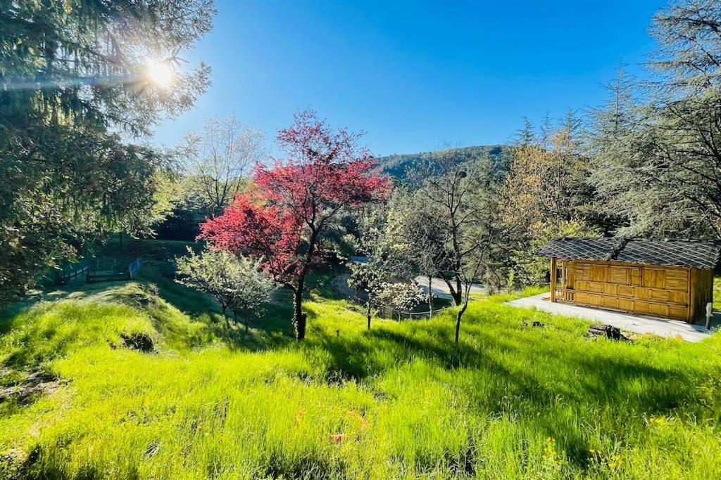 Gite Des 3 Vallees - Le Soleil Des Cevennes Daire Saint-Jean-du-Gard Dış mekan fotoğraf