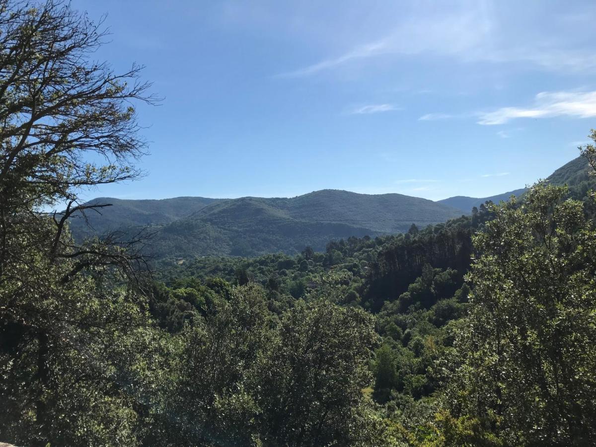 Gite Des 3 Vallees - Le Soleil Des Cevennes Daire Saint-Jean-du-Gard Dış mekan fotoğraf