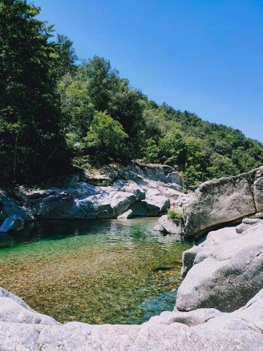 Gite Des 3 Vallees - Le Soleil Des Cevennes Daire Saint-Jean-du-Gard Dış mekan fotoğraf