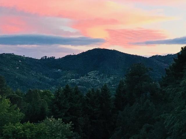 Gite Des 3 Vallees - Le Soleil Des Cevennes Daire Saint-Jean-du-Gard Dış mekan fotoğraf