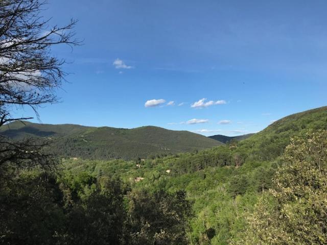 Gite Des 3 Vallees - Le Soleil Des Cevennes Daire Saint-Jean-du-Gard Dış mekan fotoğraf